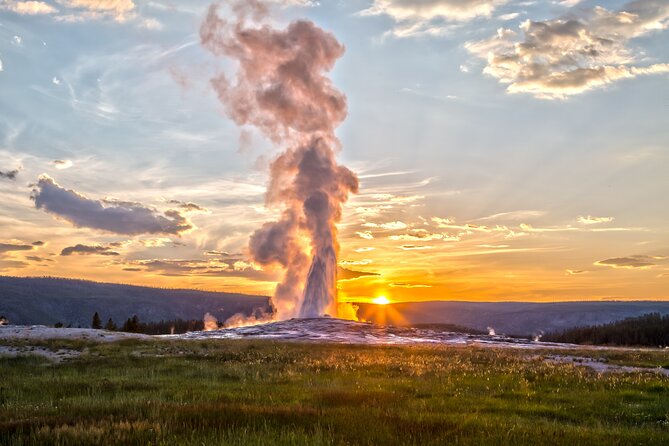 Yellowstone: Private Guided Tour - Wildlife Sightings