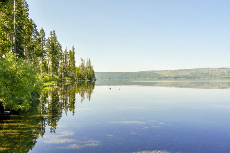 Yellowstone: Private Lewis Lake Fishing Trip From Jackson - Transportation Details