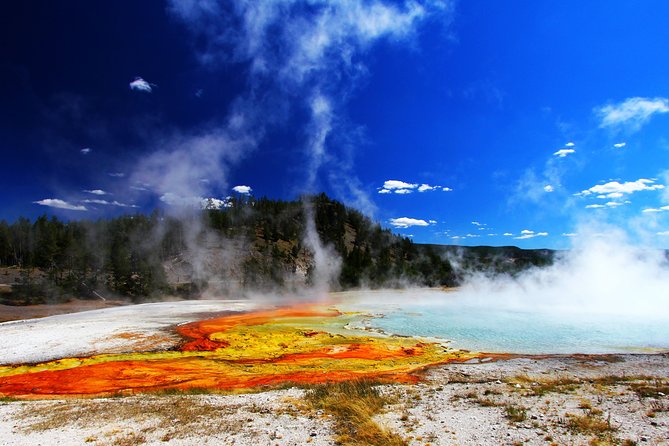 Yellowstone Private Lower Loop Adventure With Lunch - Inclusions