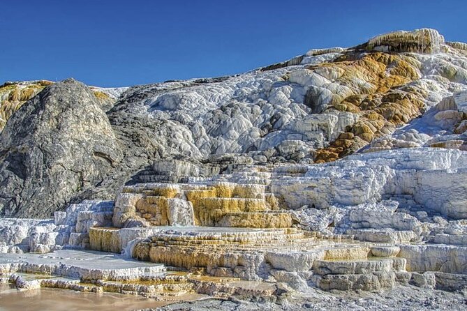Yellowstone Private Winter Wolf & Wildlife Tour From Gardiner, MT - Unforgettable Winter Adventure