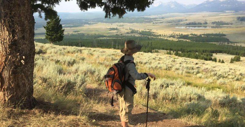 Yellowstone Small-Group Tour From Paradise Valley & Gardiner - Booking Information
