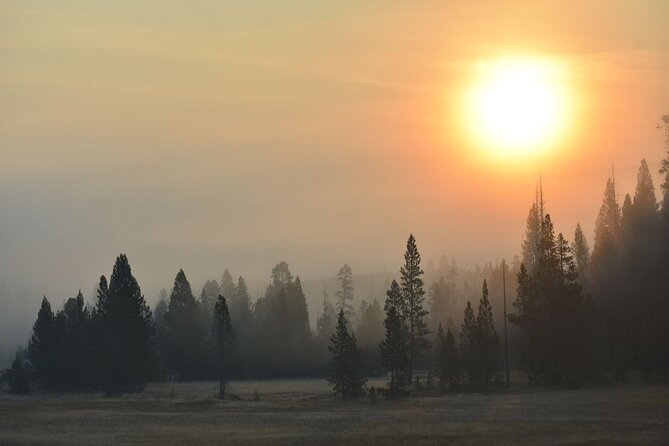 Yellowstone Western Tours - Group Option - Frequently Asked Questions