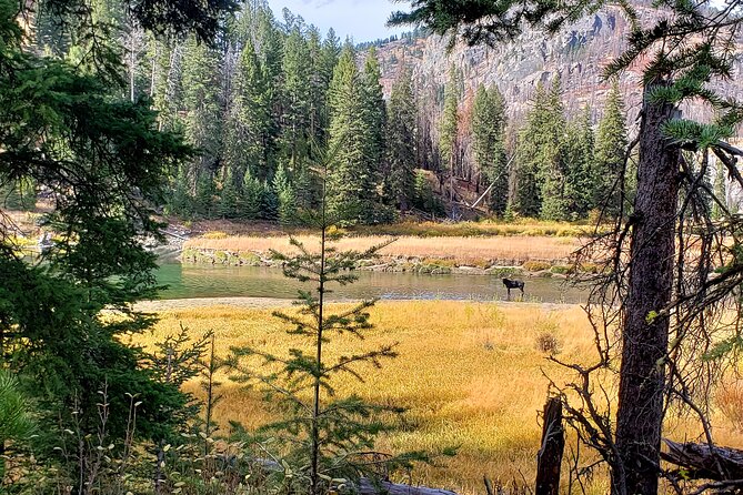 Yellowstone Wildlife Tour - Inclusions and Amenities