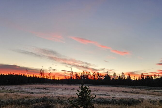 Yellowstone Wildlife Tour - Frequently Asked Questions