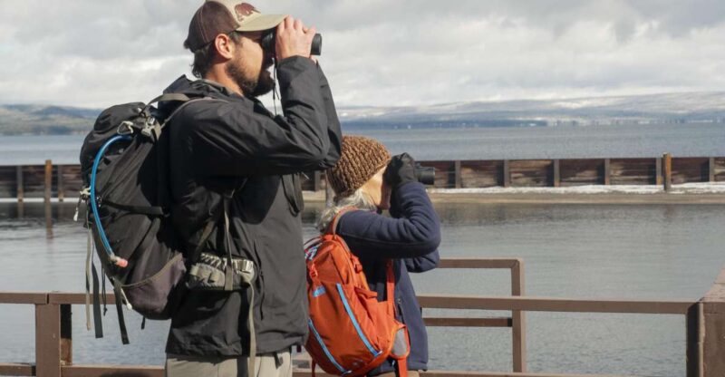 Yellowstone: Winter Wildlife & Snowshoe Adventure - Highlights and Experience