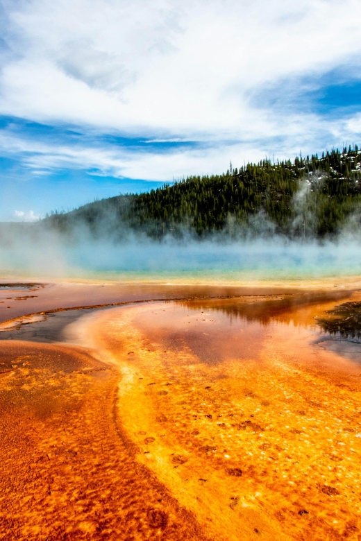 Yellowstone: Winter Wildlife & Snowshoe Adventure - Guided Experience