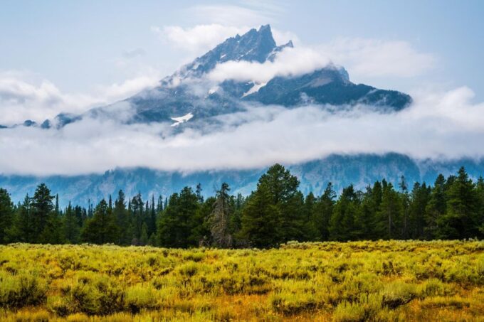 Yellowstone: Winter Wildlife & Snowshoe Adventure - Wildlife Encounters