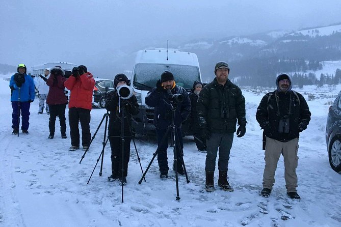 Yellowstone Wolves and Winter 4day/3night Adventure From Montana - Navigating the National Park