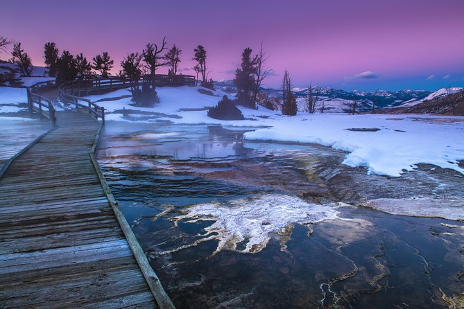 Yellowstone Wolves and Winter 4day/3night Adventure From Montana - Discovering Native Wildlife Habitats