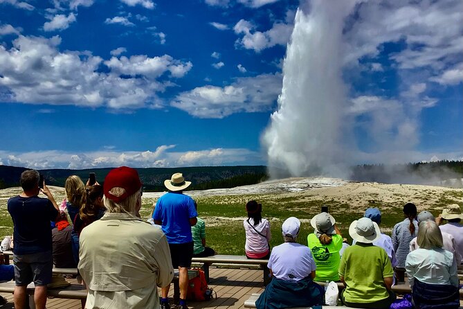 Yellowstone"Open Air" Glass Top Convertible Van West Yellowstone - Guest Experience and Feedback