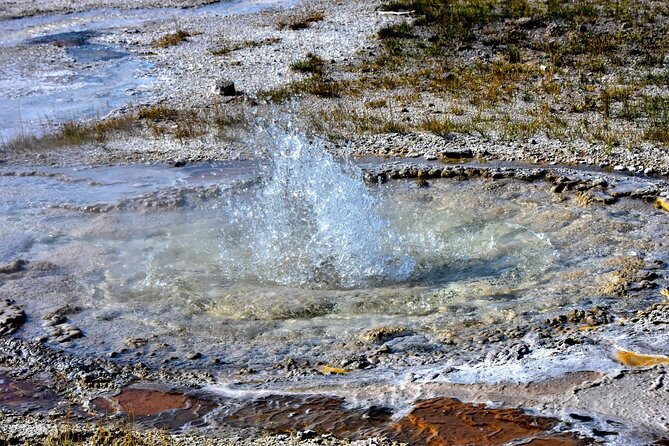 Yellowstones Old Faithful Self-Guided Walking Tour - Capturing Memorable Moments With the App