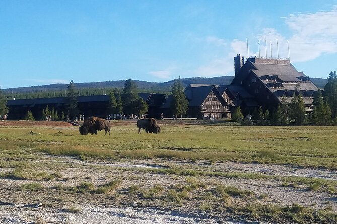 Yellowstones Upper Geyser Basin: A Self-Guided Audio Tour - Exploring the Upper Geyser Basin