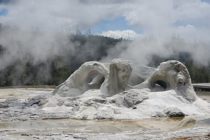 Yellowstones Upper Geyser Basin: A Self-Guided Audio Tour - Wildlife Sightings and Precautions
