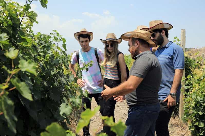 Yerevan: Khor Virap Day Trip With Mount Ararat Wine Tasting - Key Points