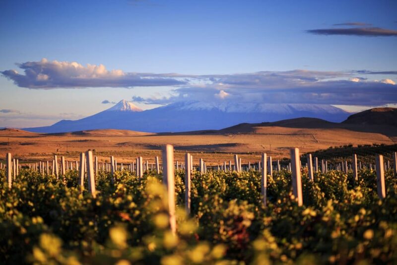 Yerevan: Khor Virap Day Trip With Mount Ararat Wine Tasting - Itinerary and Experience