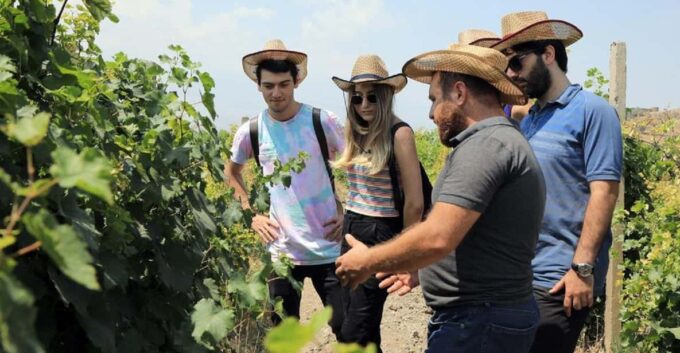 Yerevan: Khor Virap Day Trip With Mount Ararat Wine Tasting - Customer Reviews