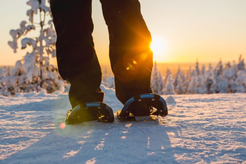 Ylläs: Forest Hike With Snowshoes and Campfire Snacks - Activity Overview