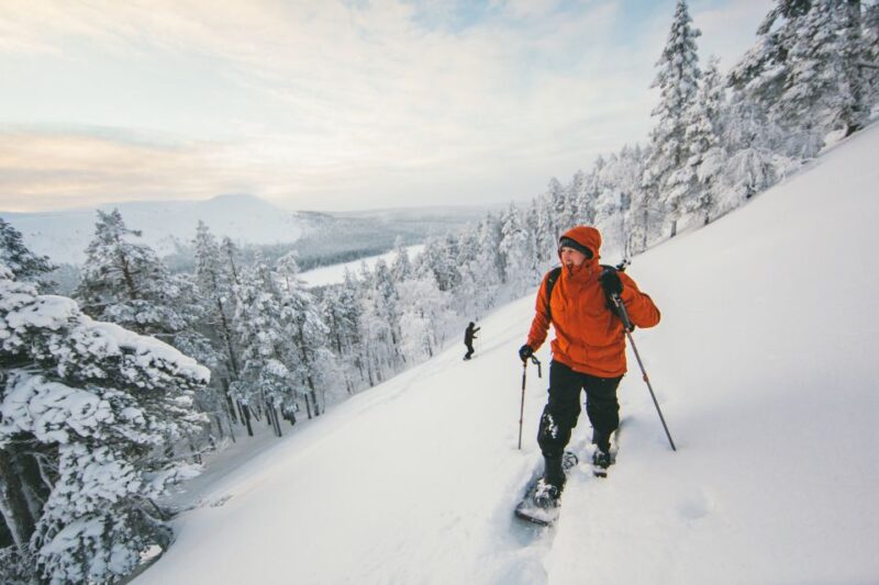 Ylläs: Forest Hike With Snowshoes and Campfire Snacks - Included in the Tour