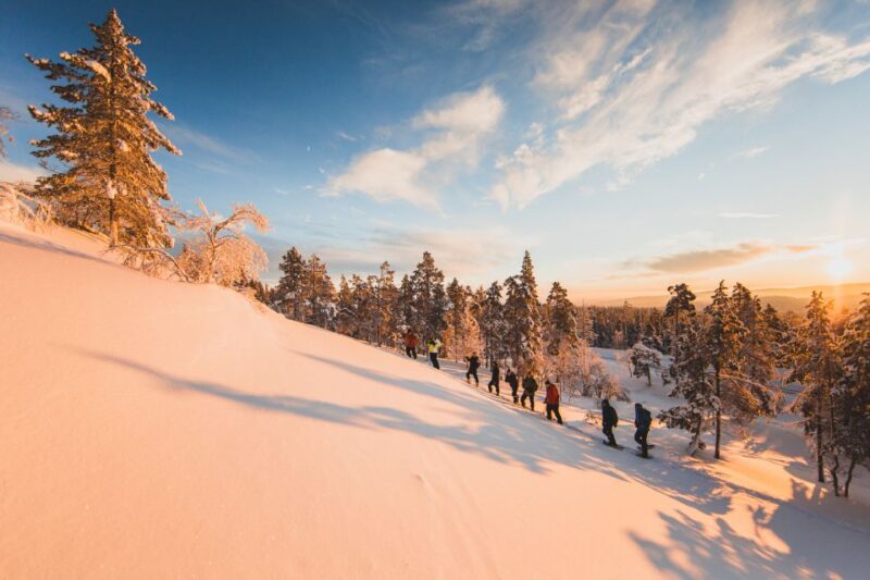 Ylläs: Forest Hike With Snowshoes and Campfire Snacks - Booking Details