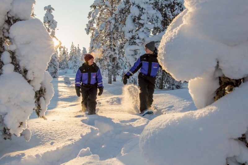 Ylläs: Forest Hike With Snowshoes and Campfire Snacks - Campfire Snacks and Drinks
