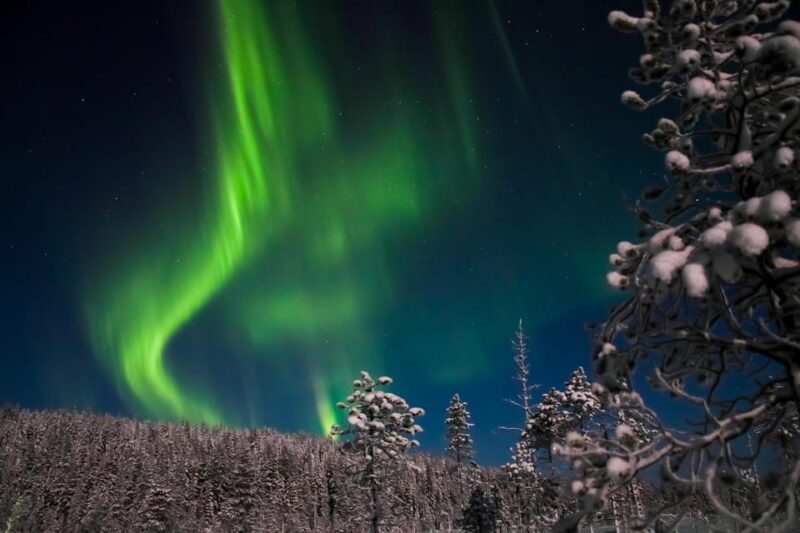 Ylläs: Seeking Northern Lights Photo Tour - Good To Know