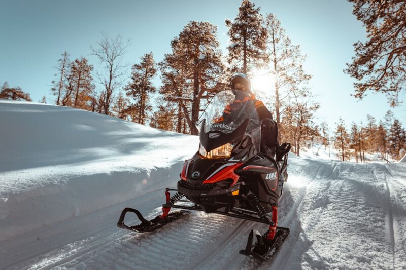 Yllas: Wilderness Snowmobile Tour - Tour Overview and Pricing
