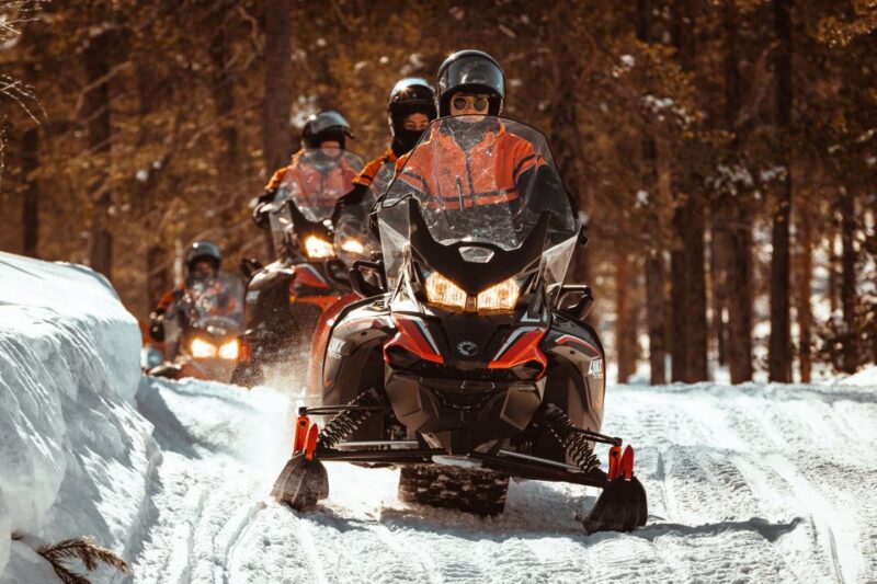 Yllas: Wilderness Snowmobile Tour - Customer Reviews