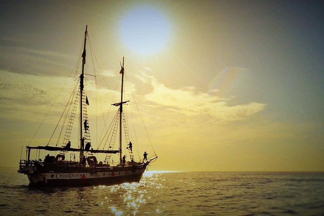 Yo Ho Pirate Sunset Dinner Cruise in Cabo San Lucas - Positive Customer Feedback