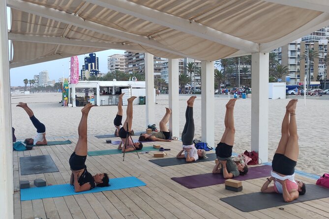 Yoga and Meditation Class in Front of the Sea and the Mountains in Alicante - What To Expect