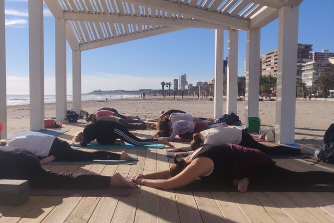 Yoga and Meditation Class in Front of the Sea and the Mountains in Alicante - Experienced Instructors