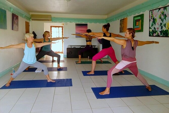 Yoga and Meditation, Group or Private Sessions in Nevis - Guest Reviews and Ratings