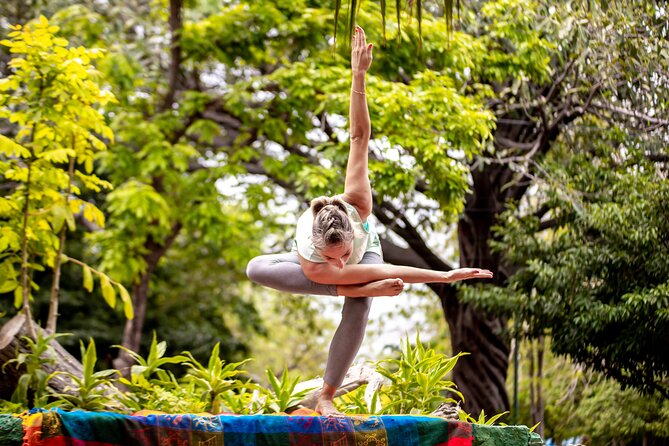 Yoga and Pilates Class in Cancún - Operator Information