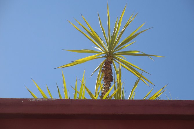 Yoga and Wellness Half-Day in an Authentic Marrakech Riad - Meeting Point and Location