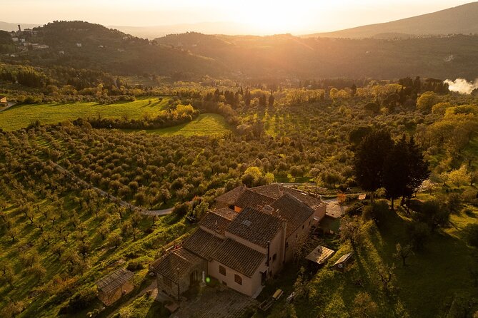 Yoga at Sunset Overlooking Tuscan Countryside - Group Size and Accessibility