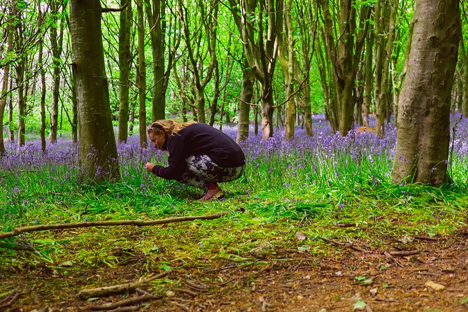 Yoga & Forest Bathing Day Retreat - Naturalist and Expert Guidance