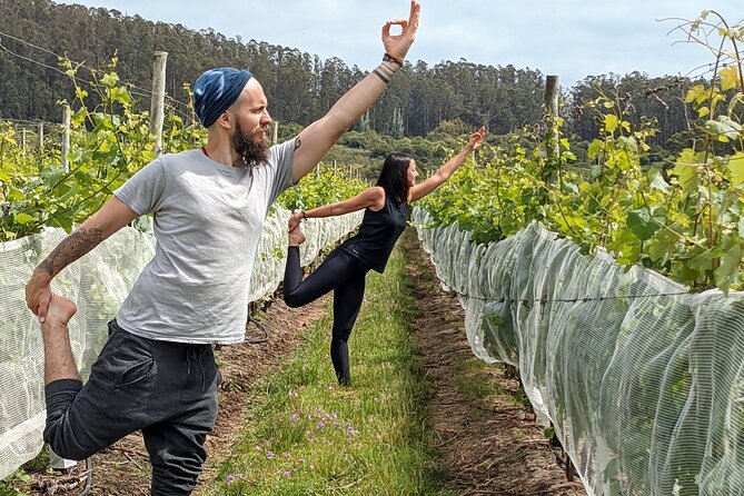 Yoga in Vineyards and Brunch - Sensory Meditation Experience