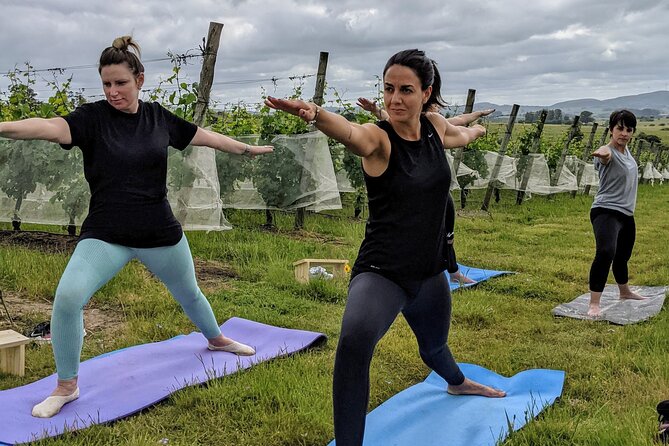 Yoga in Vineyards and Brunch - Reviews and Ratings