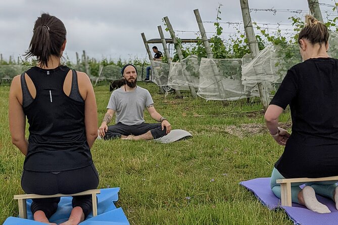 Yoga in Vineyards and Brunch - Key Points