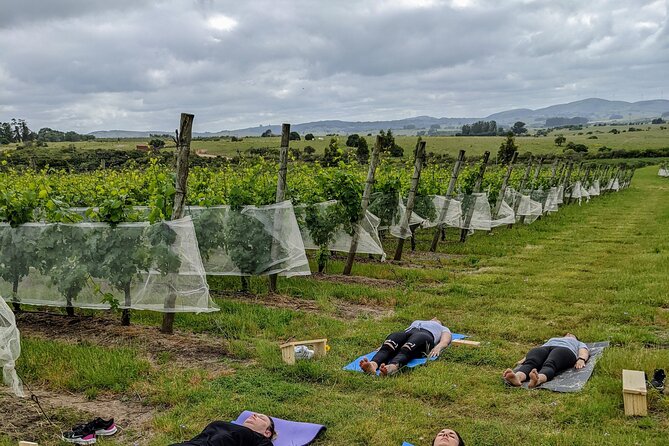 Yoga in Vineyards and Brunch - Unwind With Yoga