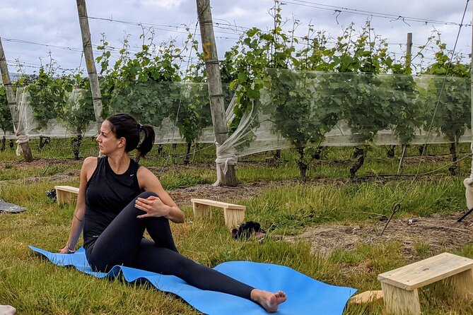 Yoga in Vineyards and Brunch - Sensory Meditation Experience