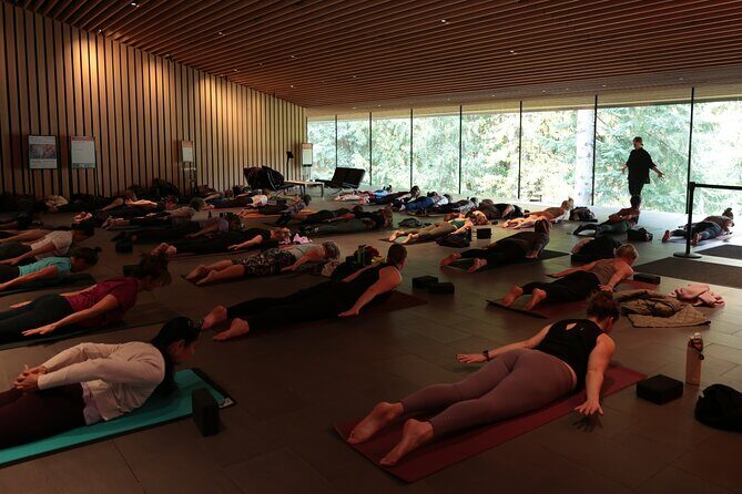 Yoga + Museum Gallery Experience in Whistler - Who Should Do This?