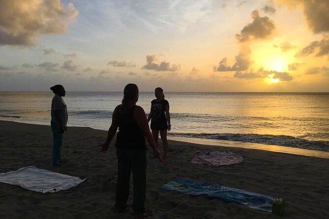 Yoga-Scuba Experience (For Beginners) and PADI Yoga Diver Specialty Course - Picturesque Location in Nevis, St Kitts