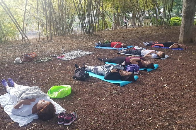 Yoga With Ale - Accessibility and Participation