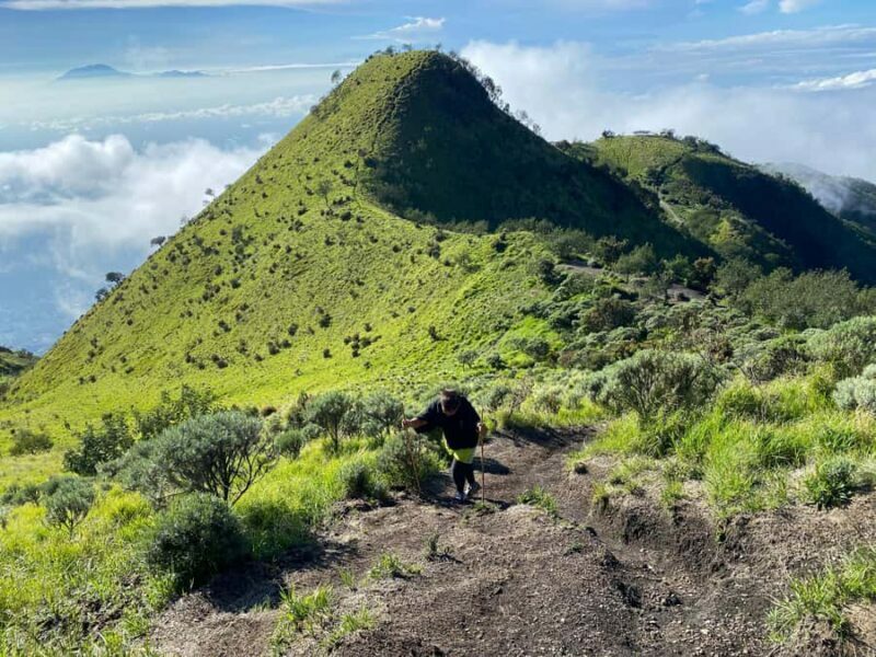 Yogyakarta: 1 Day Trip Mount Merbabu Sunrise Hike - Descent and Return
