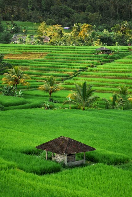 Yogyakarta : 10 Hours Private Car Hire With Driver - Frequently Asked Questions
