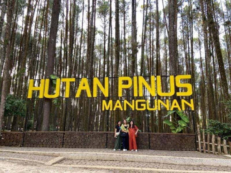 Yogyakarta: 4 Day With Hotel, Private Customized Guided Tour - Arrival and Airport Transfer
