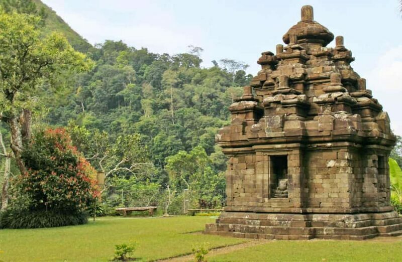 Yogyakarta: Borobudur Climb-up & Selogriyo Paddy Field Tour - A Deep Dive into the Tour Experience