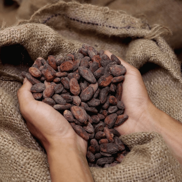 Yogyakarta: Chocolate Workshop in Chocolate Monggo Museum - Whats Included
