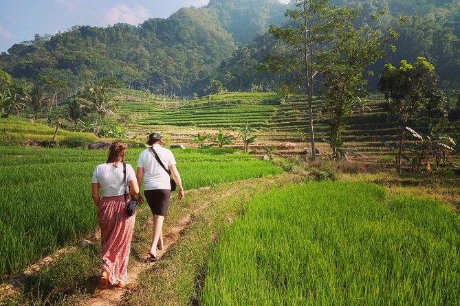 Yogyakarta City Tour - Pricing and Booking