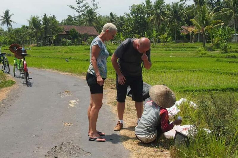 Yogyakarta: Countryside Village Cycling Tour With Guide - Frequently Asked Questions